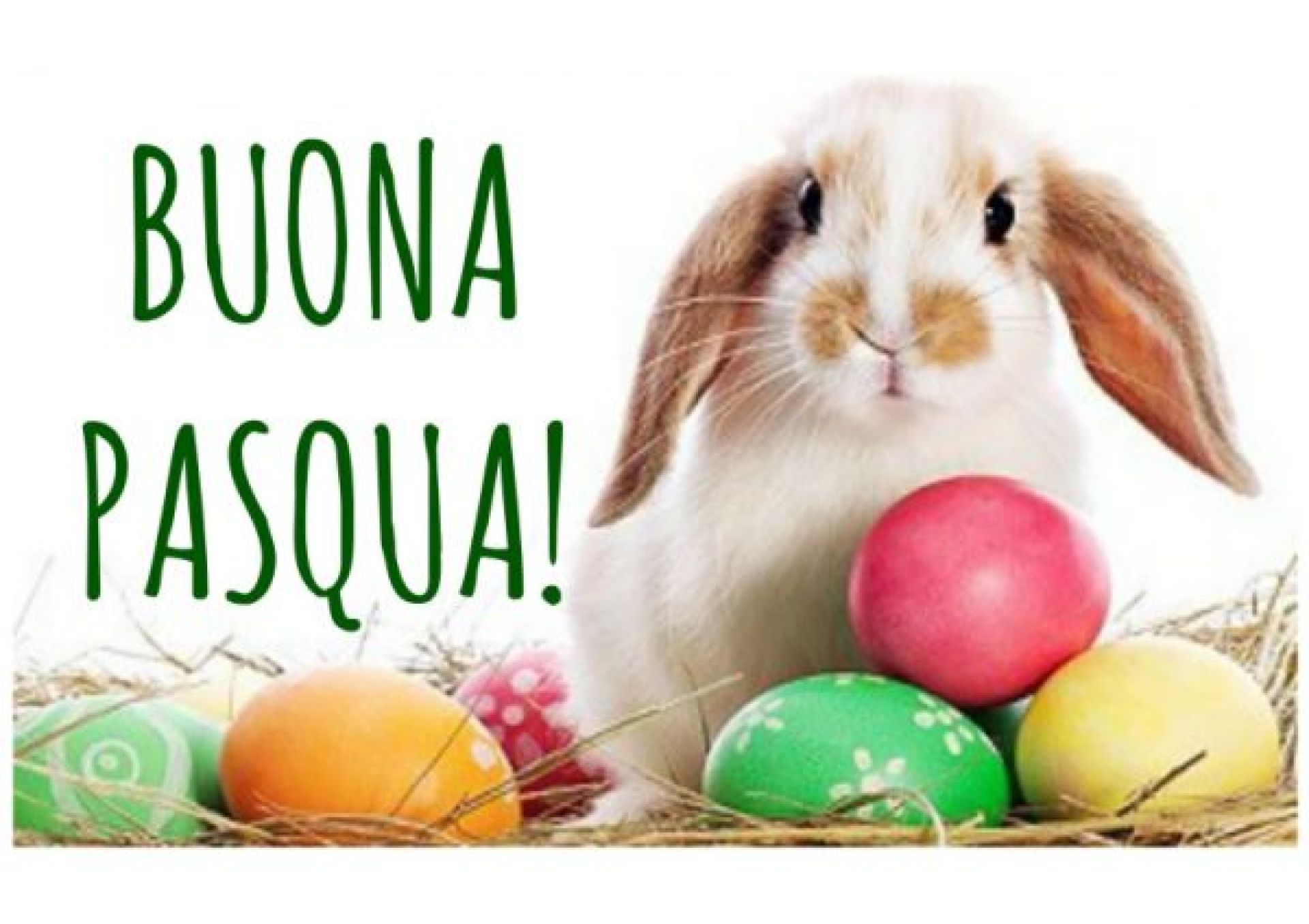 Easter 2026, Hotel Luna Marina di Massa