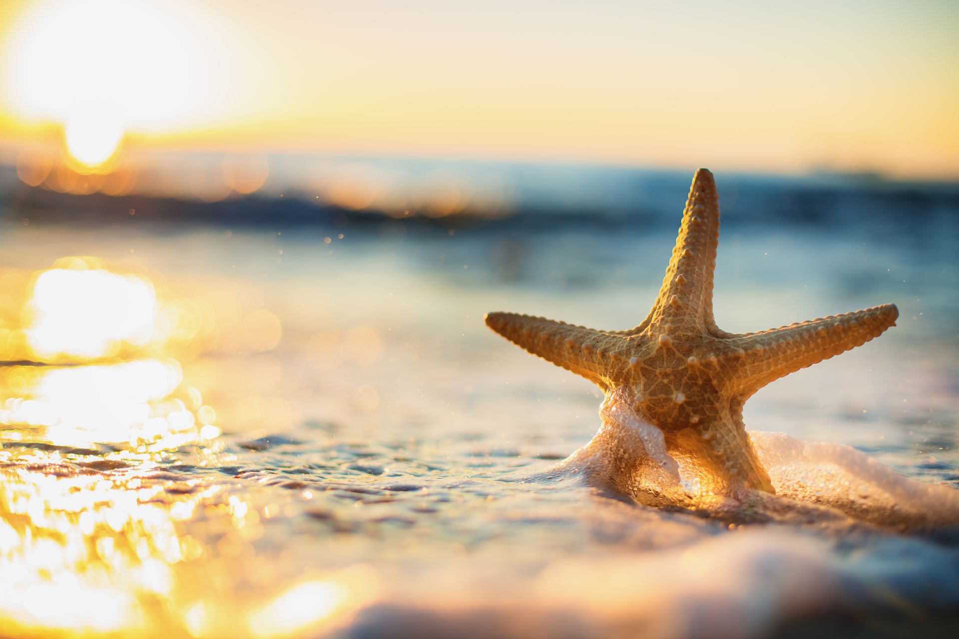 Soggiorno estate 2026 al mare con prenotazione anticipate, Hotel Luna Marina di Massa