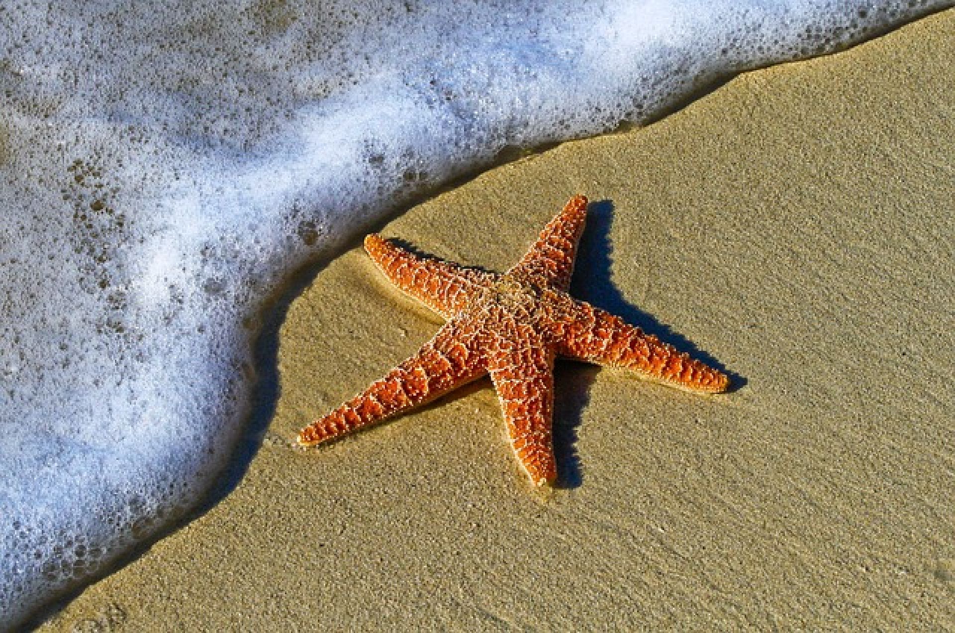 Week july, Hotel Luna Marina di Massa